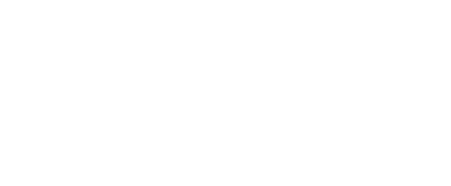 North27 Limited Logo